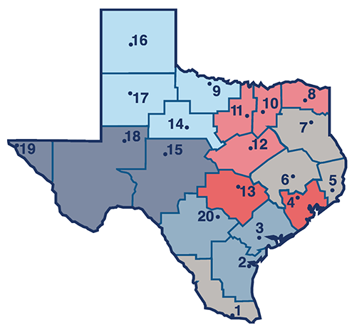 Texas Lesson Study region map